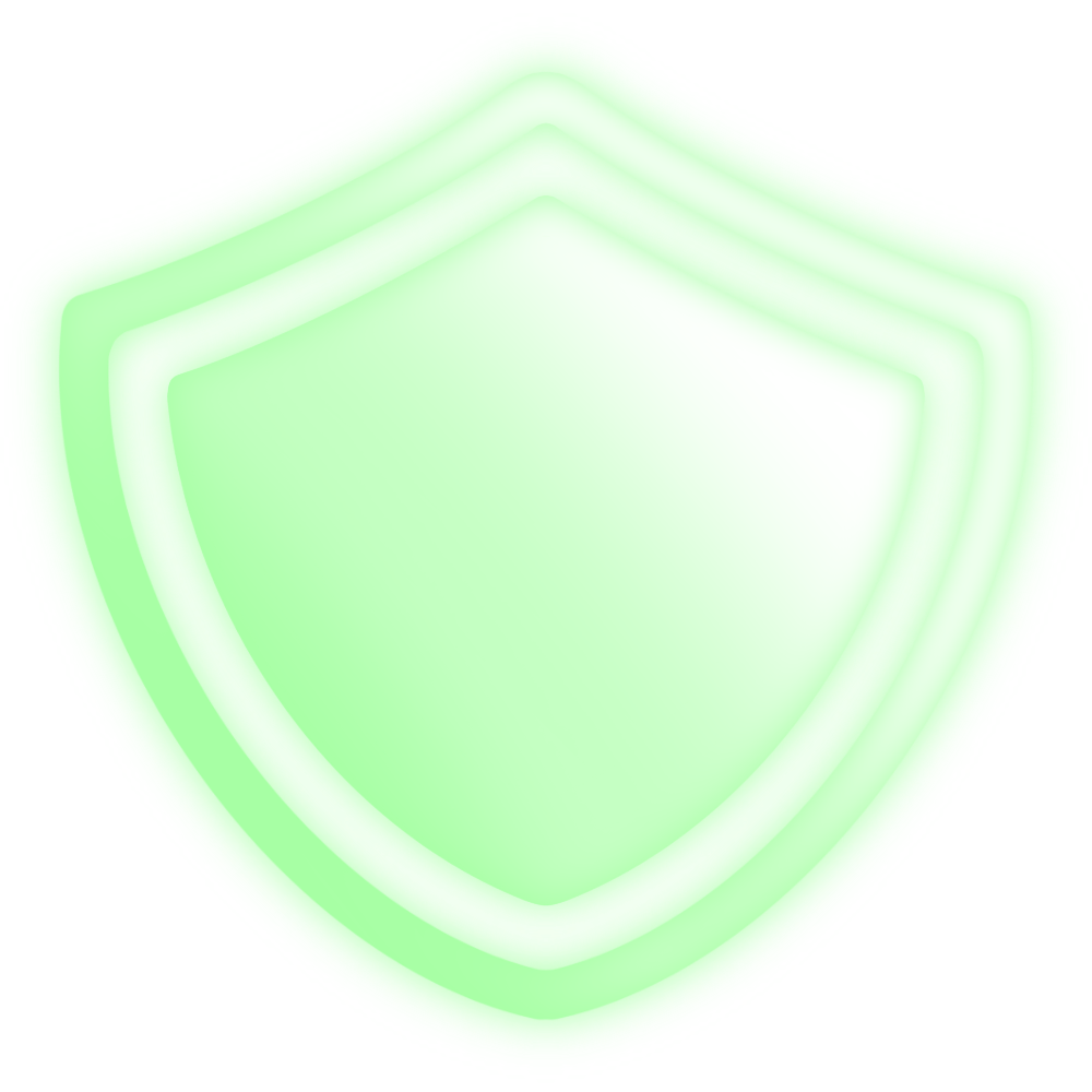 Advanced DDoS Protection icon